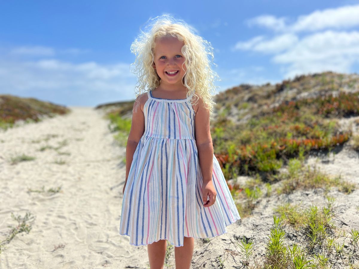 Stella Dress - Pink/Blue Stripe