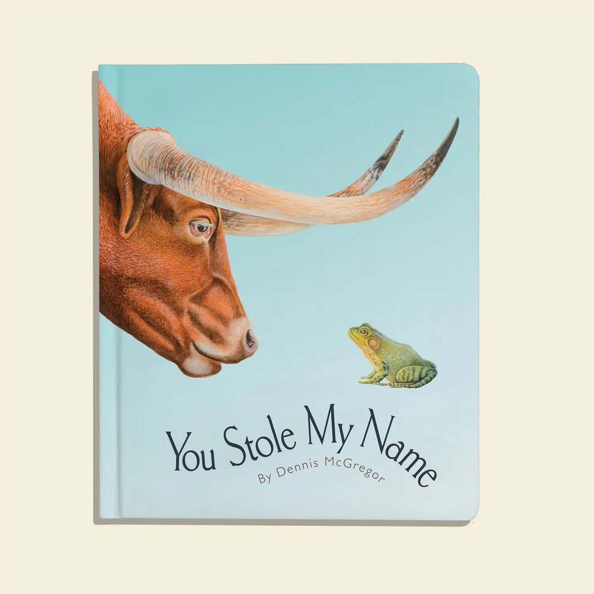 You Stole My Name Board Book