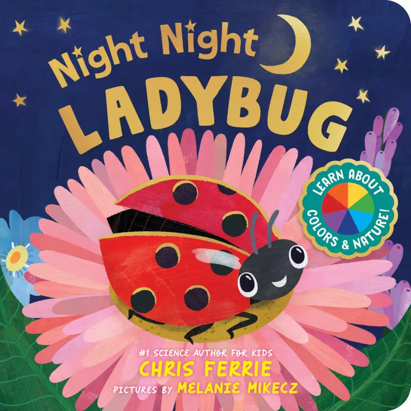 Night Night Ladybug Book