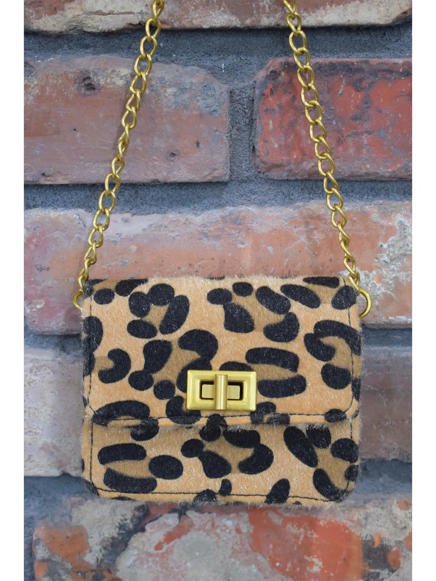 Purse with Gold Chain