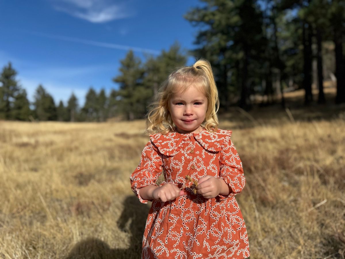 Sylvie Dress - Pumpkin Embroidery