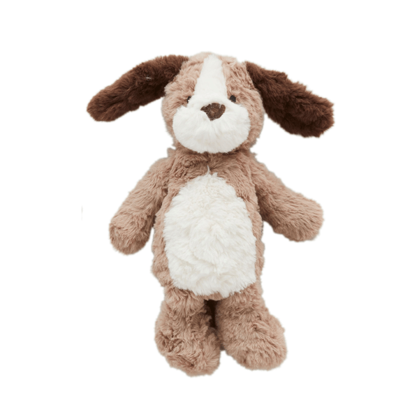 Teddy Puppy
