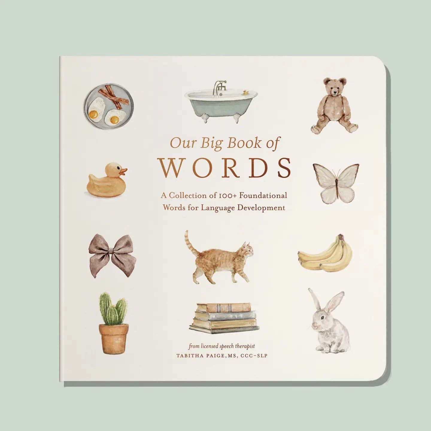 Our Big Book of Words Board Book