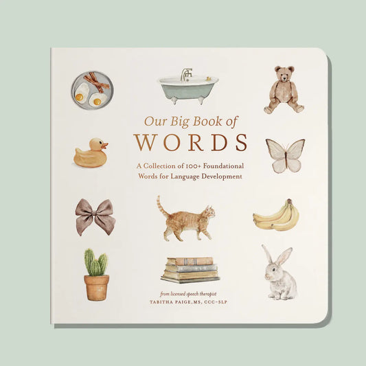 Our Big Book of Words Board Book