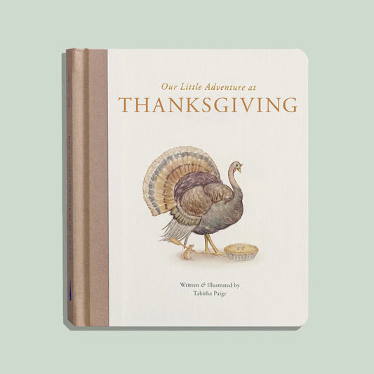 Our Little Adventure at Thanksgiving Book