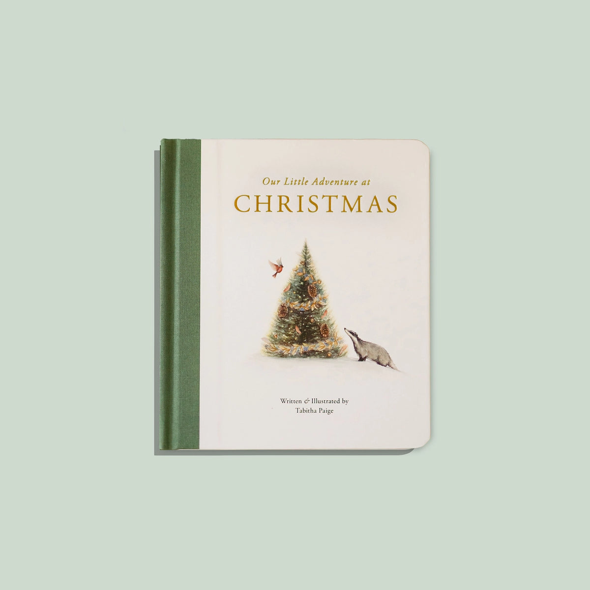 Our Little Adventure at Christmas Book