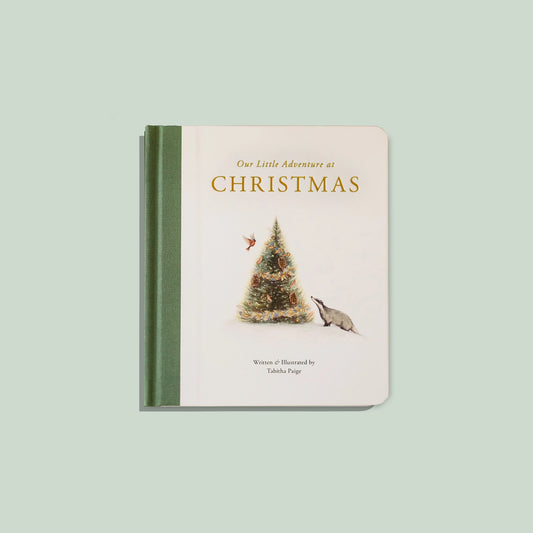 Our Little Adventure at Christmas Book