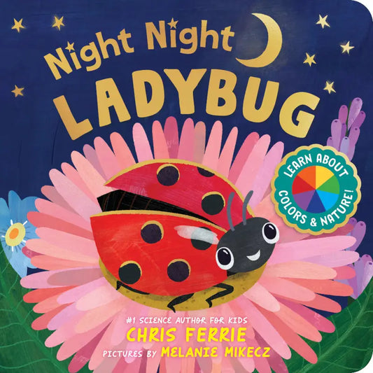 Night Night Ladybug Book