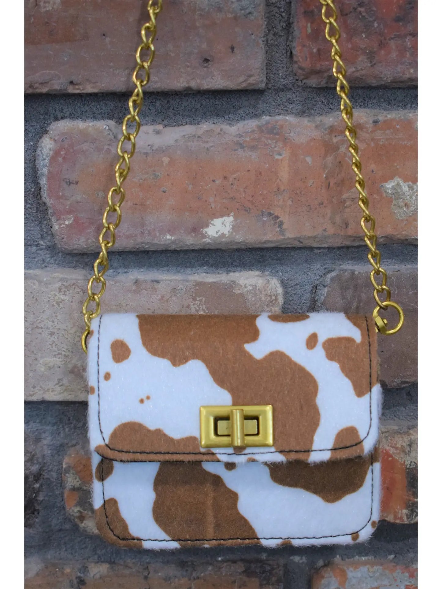 Purse with Gold Chain