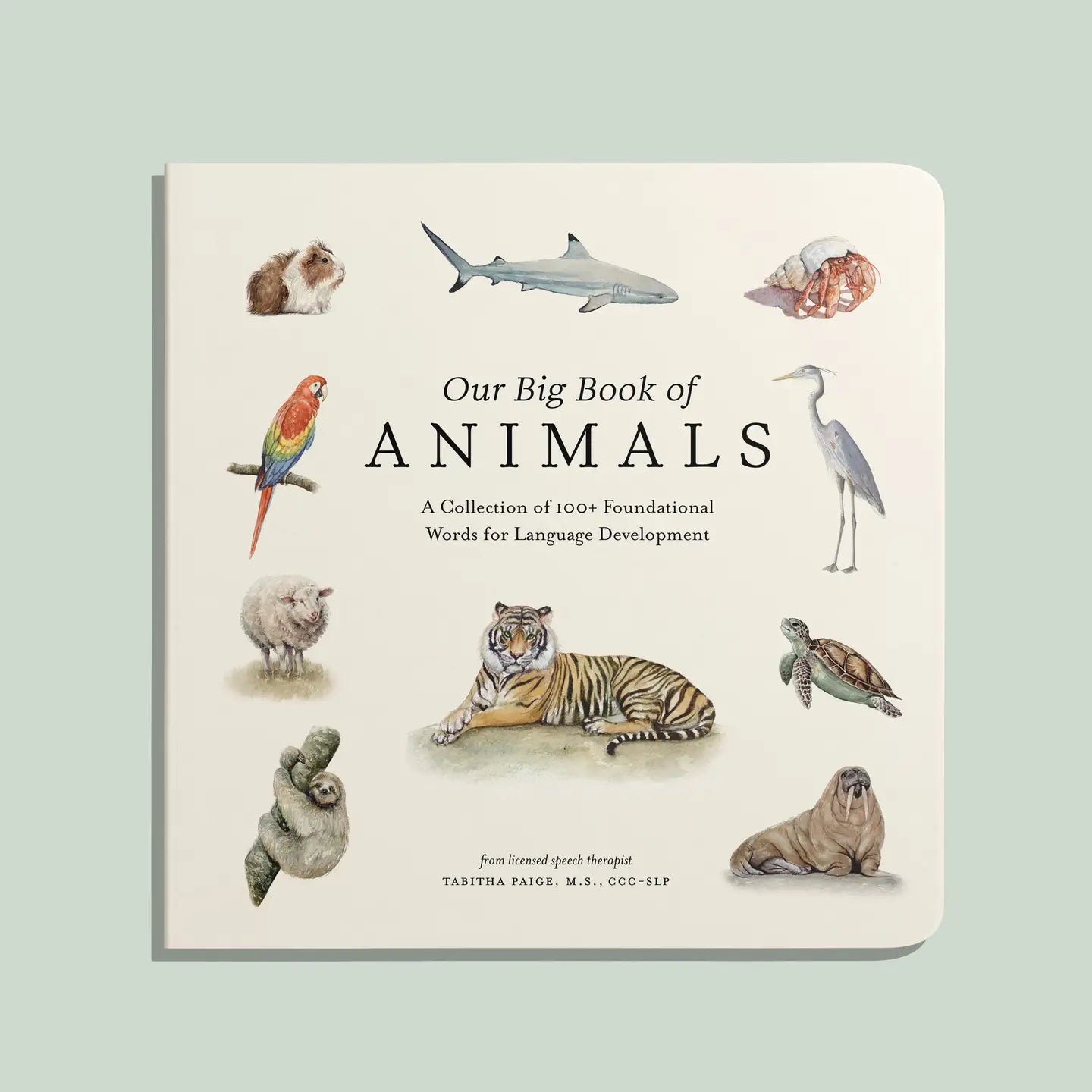 Our Big Book of Animals Board Book