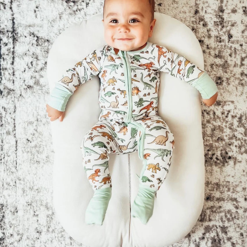 Dinosaur Dream Romper