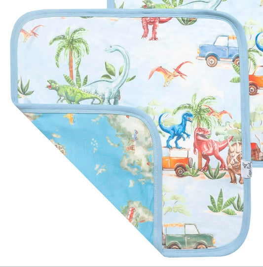 Security Blanket - Dino Explorer